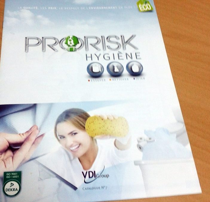 Brochure VDI Group Pro Risk