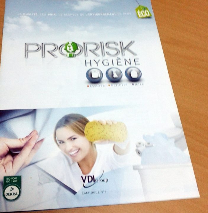 Brochure VDI Group Pro Risk