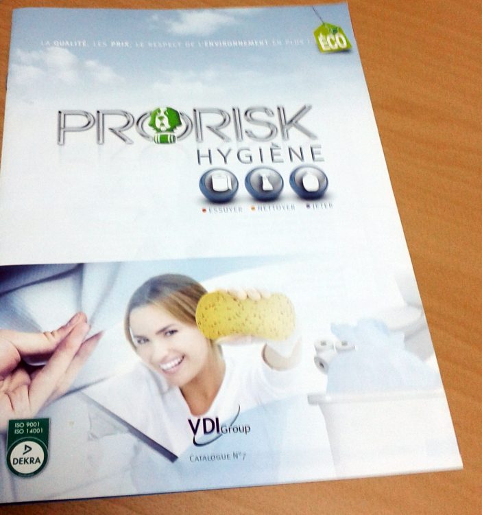 Brochure VDI Group Pro Risk