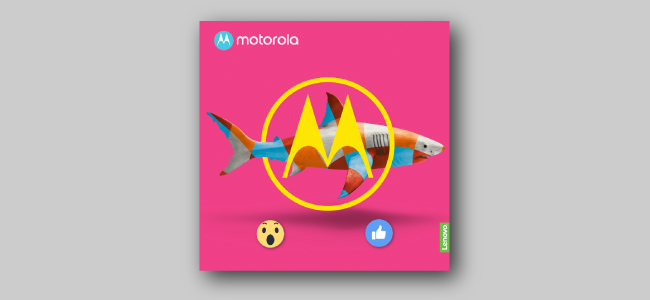 community management motorola